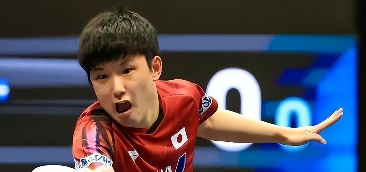 葡萄牙队完胜奥地利队，张本智和状态火热