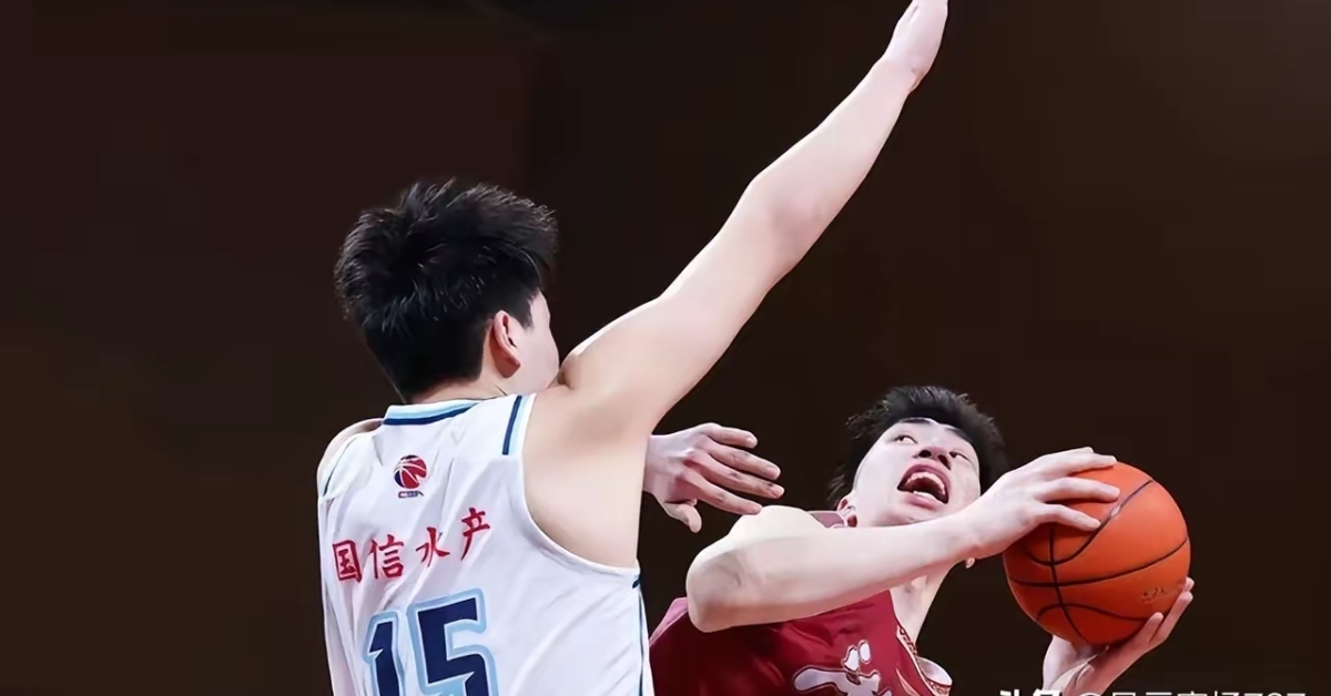 浙江队逆转辽宁队，王哲林关键制胜