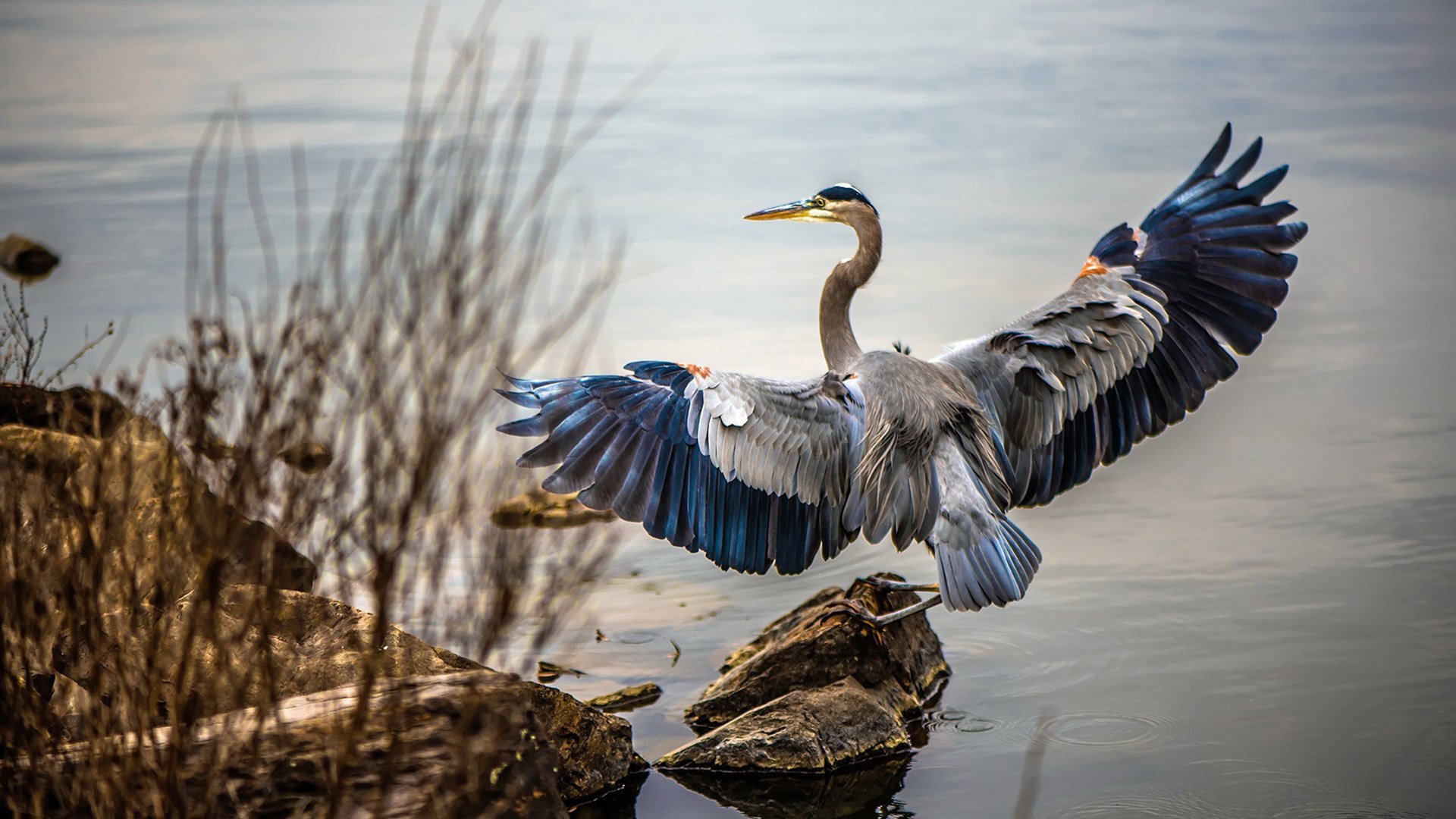 戴维斯杯铁血鏖战淬火成钢，法网红土梅德韦杰夫迎意外高光