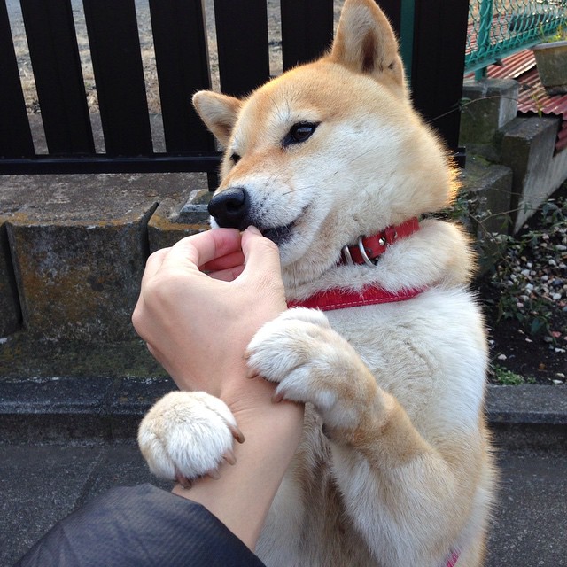 永恒的交锋,当火箭跨过分区宿命的壁垒—记一场本不存在的东决经典