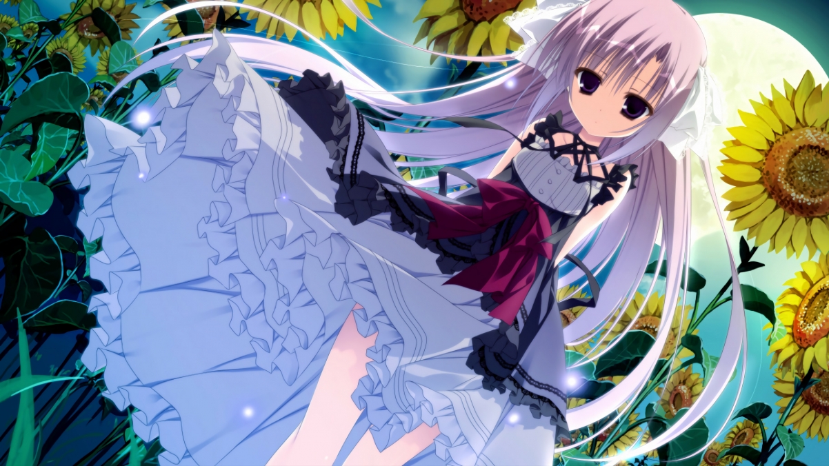 新王当立，从孟菲斯灰熊到卢卡·东契奇，体育世界的权力更迭