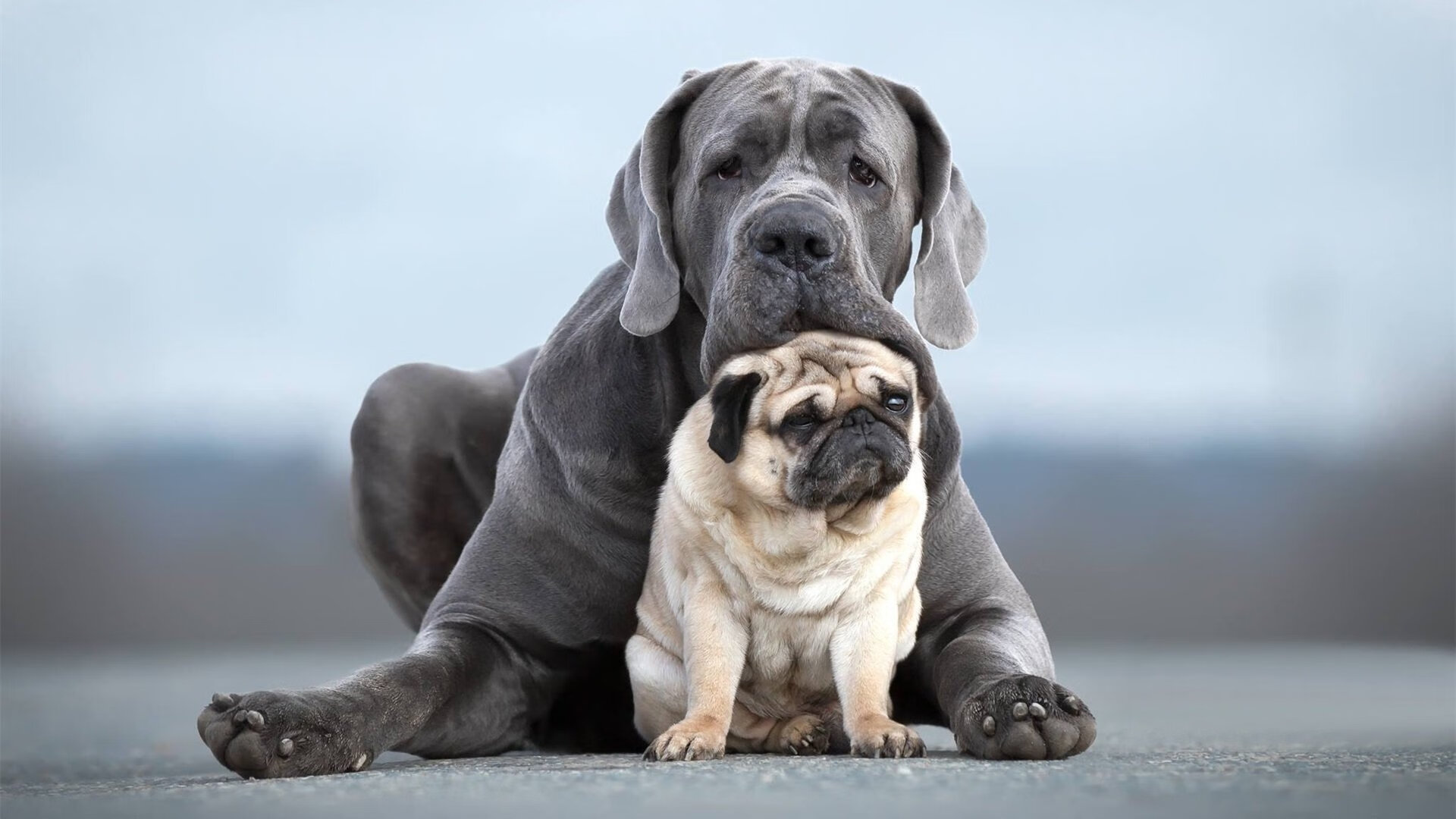 球场双线，战术的共性与智慧的较量
