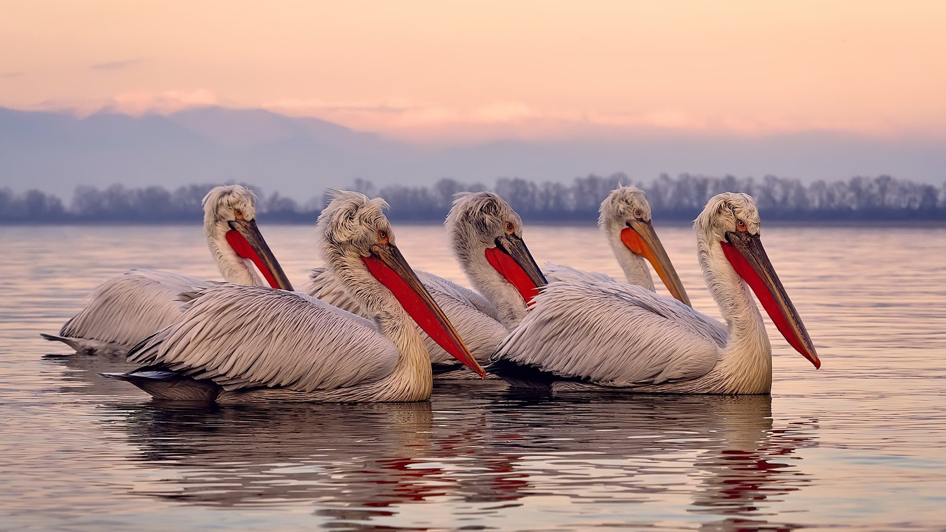 虚拟绿茵场上的终局之战，荷兰如何用毕尔巴鄂的灵魂完成元宇宙封神