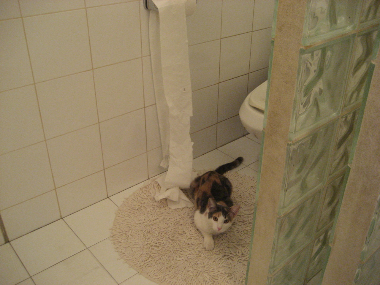 从甲A最后的奇迹到当代抢七天赋之战，两段篮球史上的唯一时刻