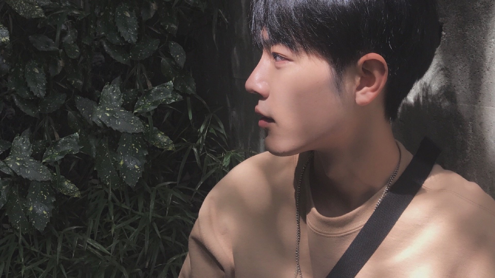 天山脚下的暴力美学，武切维奇35+18打爆禁区，新疆队豪取连胜剑指季后赛