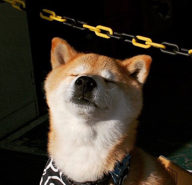 那场未被直播的比赛，如何让世界错过了久保建英真正的成年礼