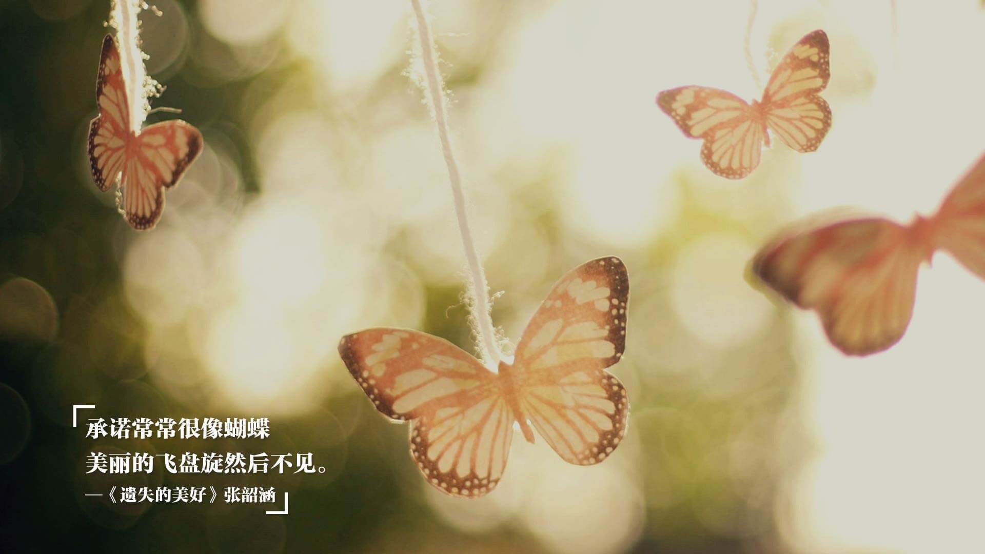 单点璀璨与整体熄火,当浓眉宇宙撞上独行侠的体系铁壁