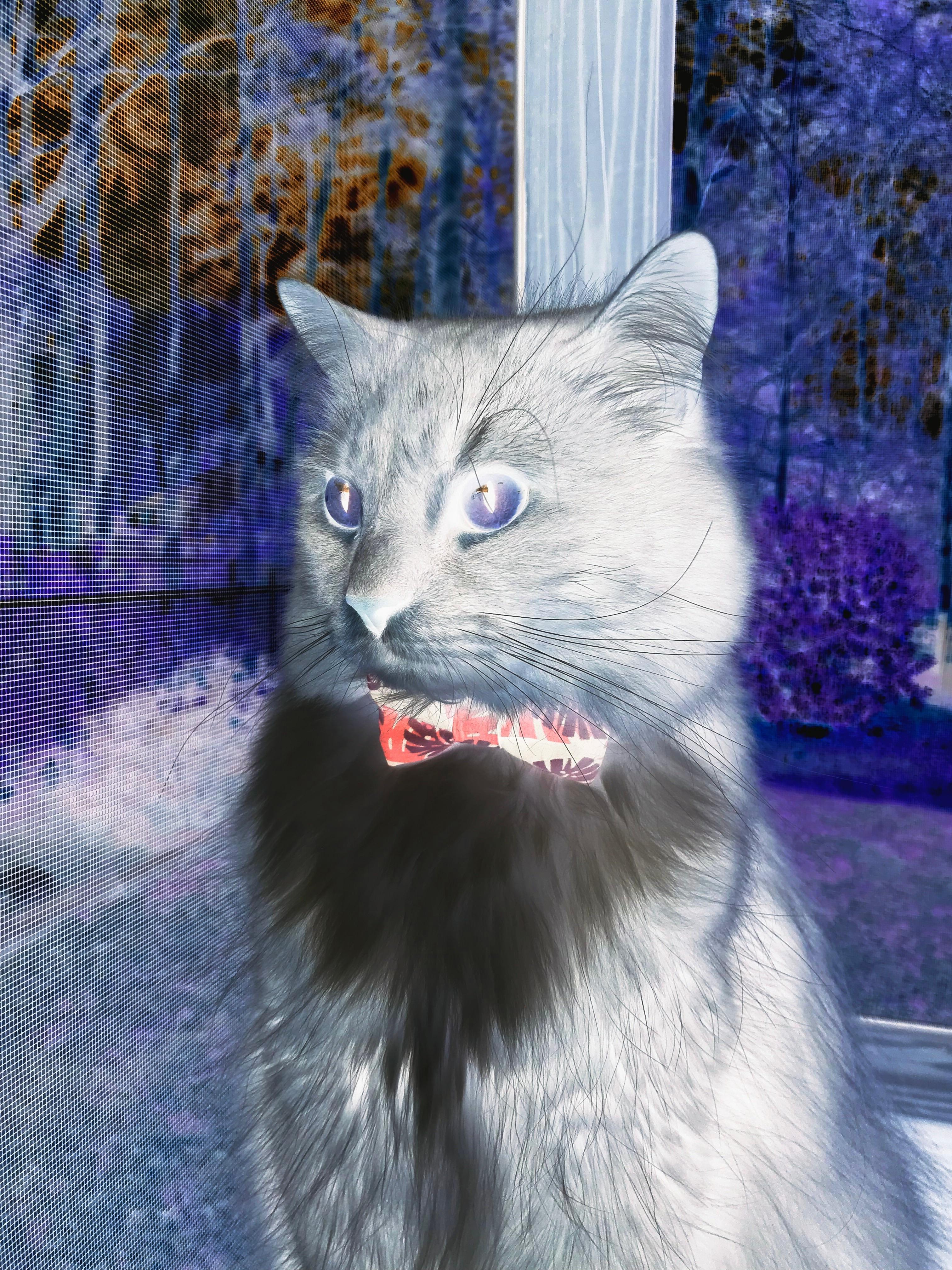 斯堪的纳维亚重划版图，卡拉斯科一剑封喉，丹麦客场带走瑞典