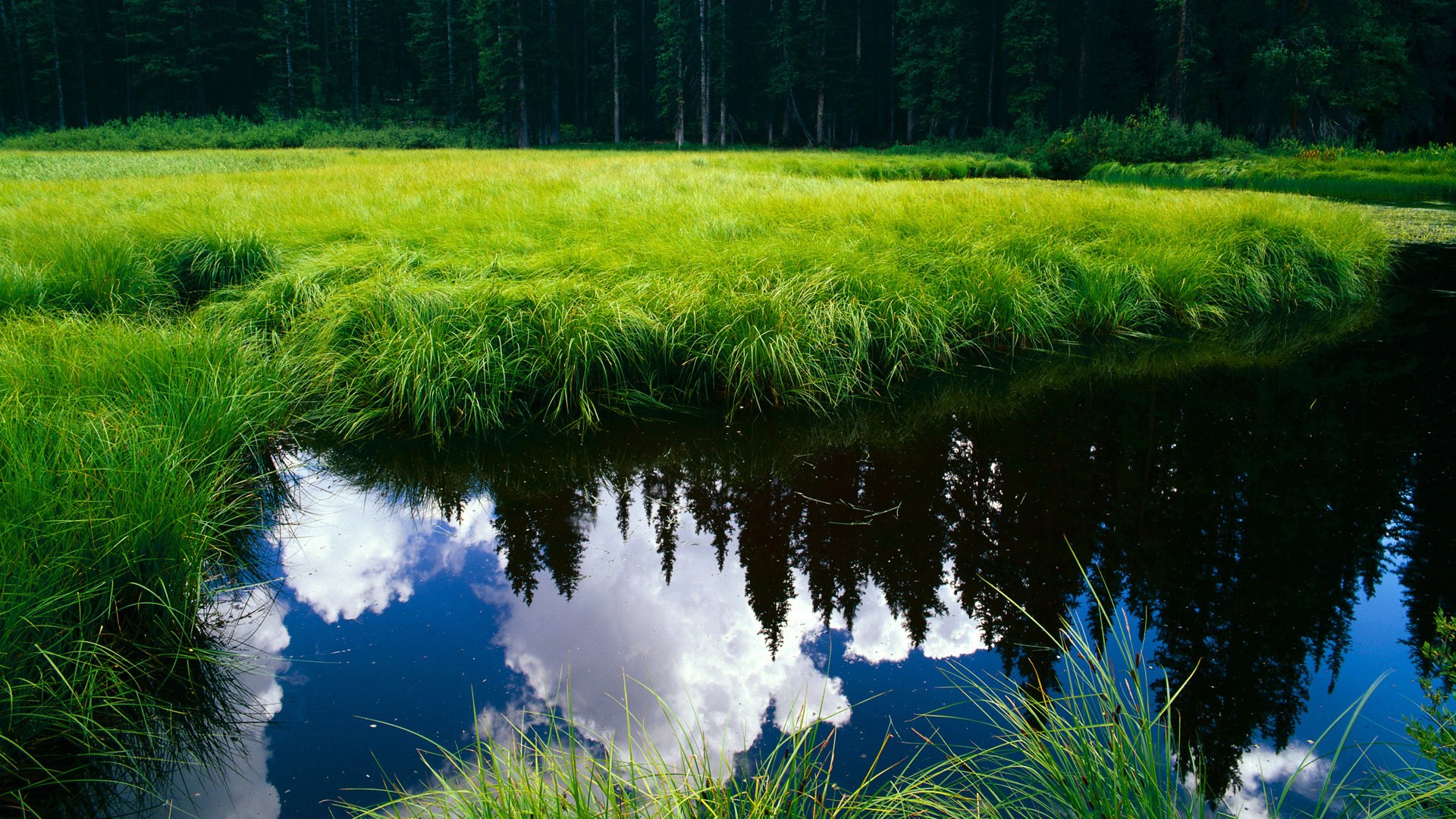 塔图姆跨界爆发！尼克斯对阵掘金中连续得分拉开差距，引爆全场