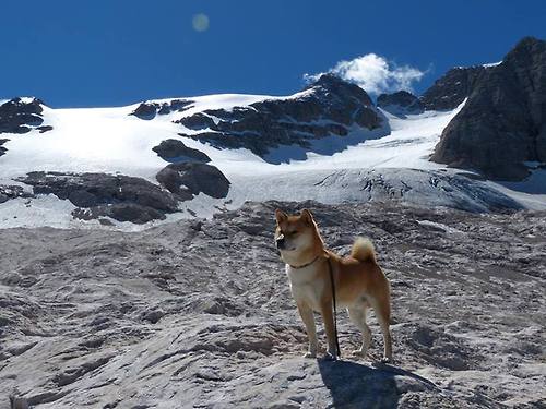 巨星哲学与团队协奏,当保罗的双重变奏奏响黄蜂的胜利乐章