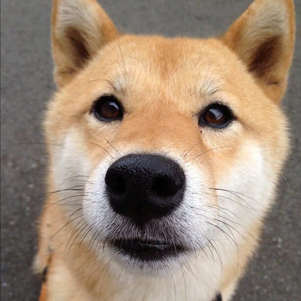 铁幕与神迹，当一个人成为一座城池的意志