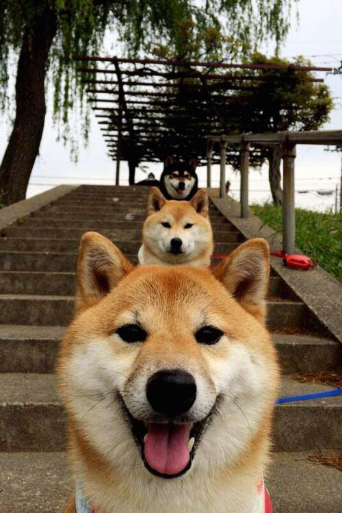 倒流河上的斗牛士，当塞维利亚之夜遇见法比尼奥的记忆