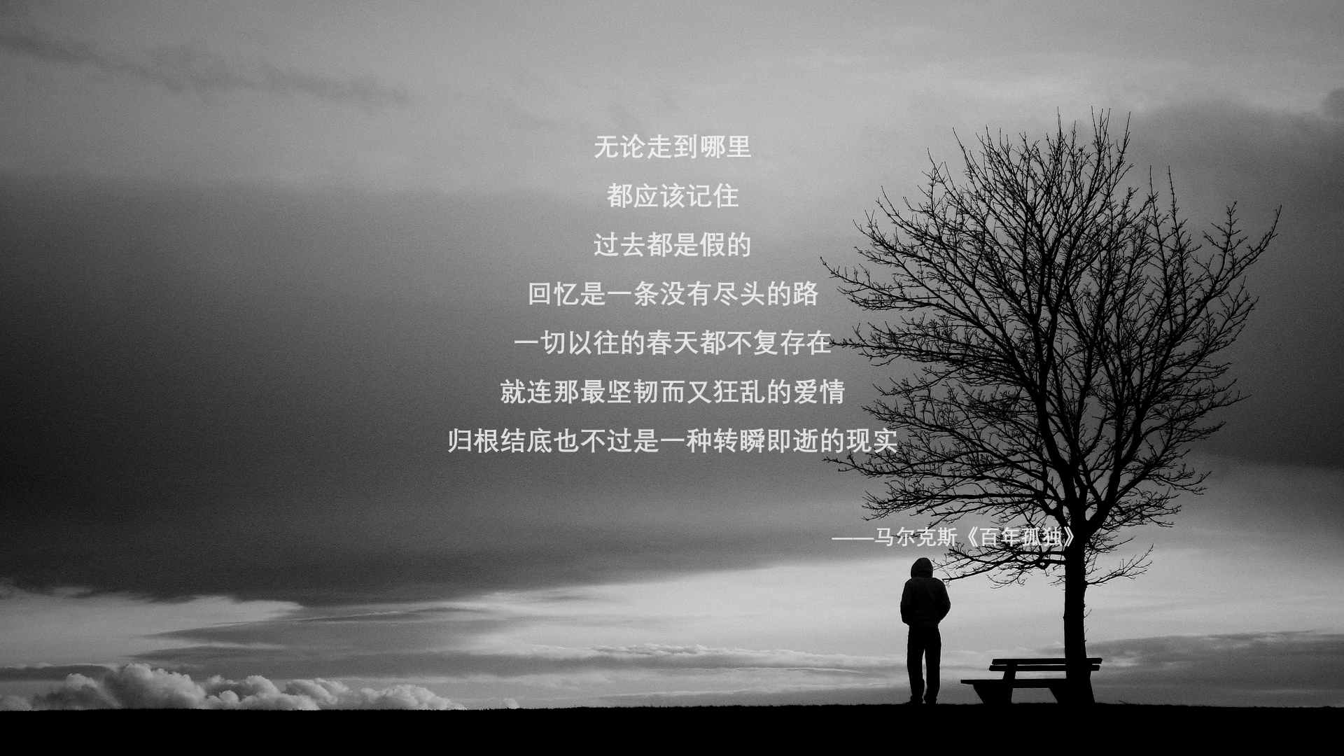 当密尔沃基雄鹿遇上上海大鲨鱼，时空裂缝中的终极对决