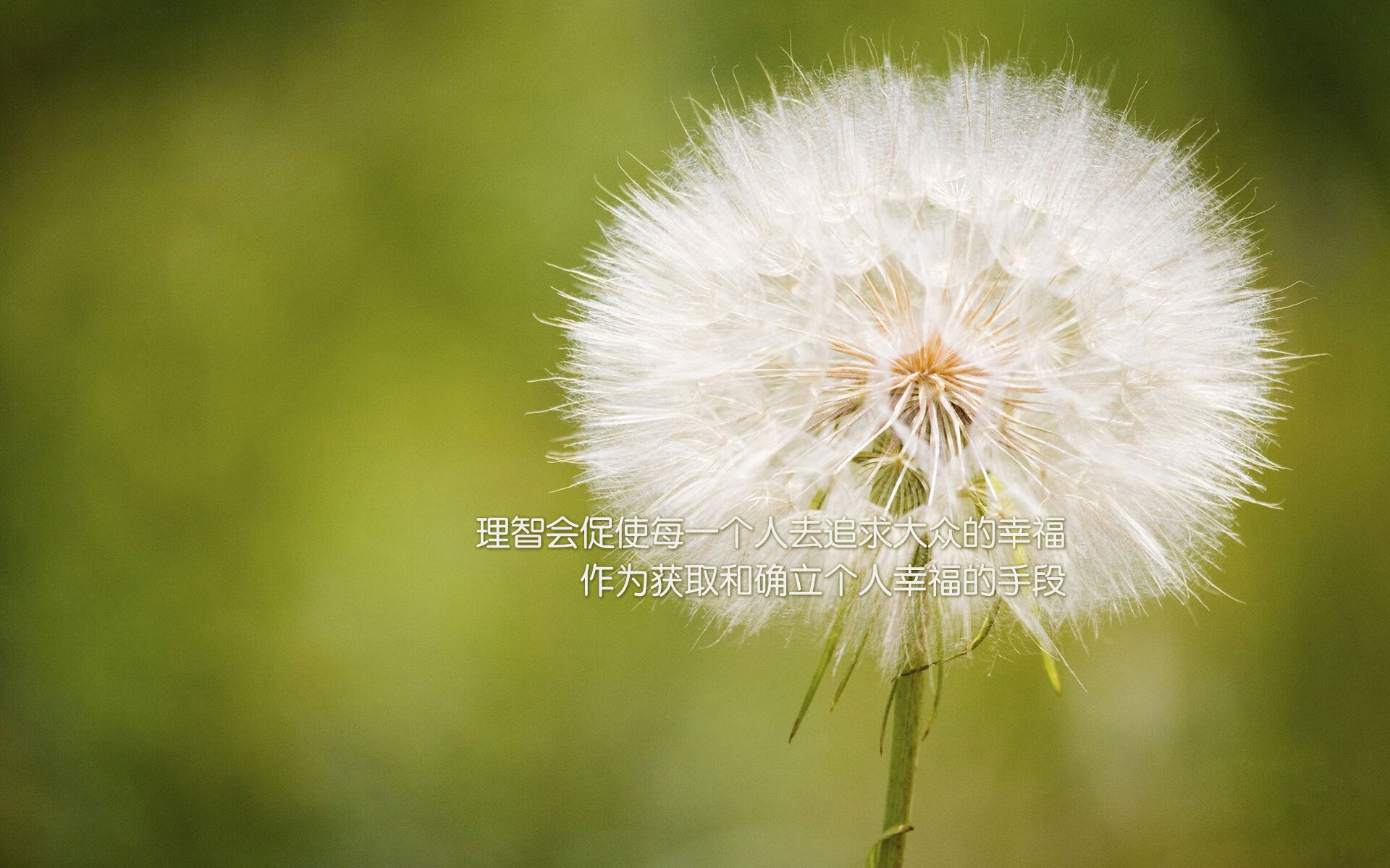 致命一击，努涅斯终结悬念，荷兰碾压厄瓜多尔锁定D组头名