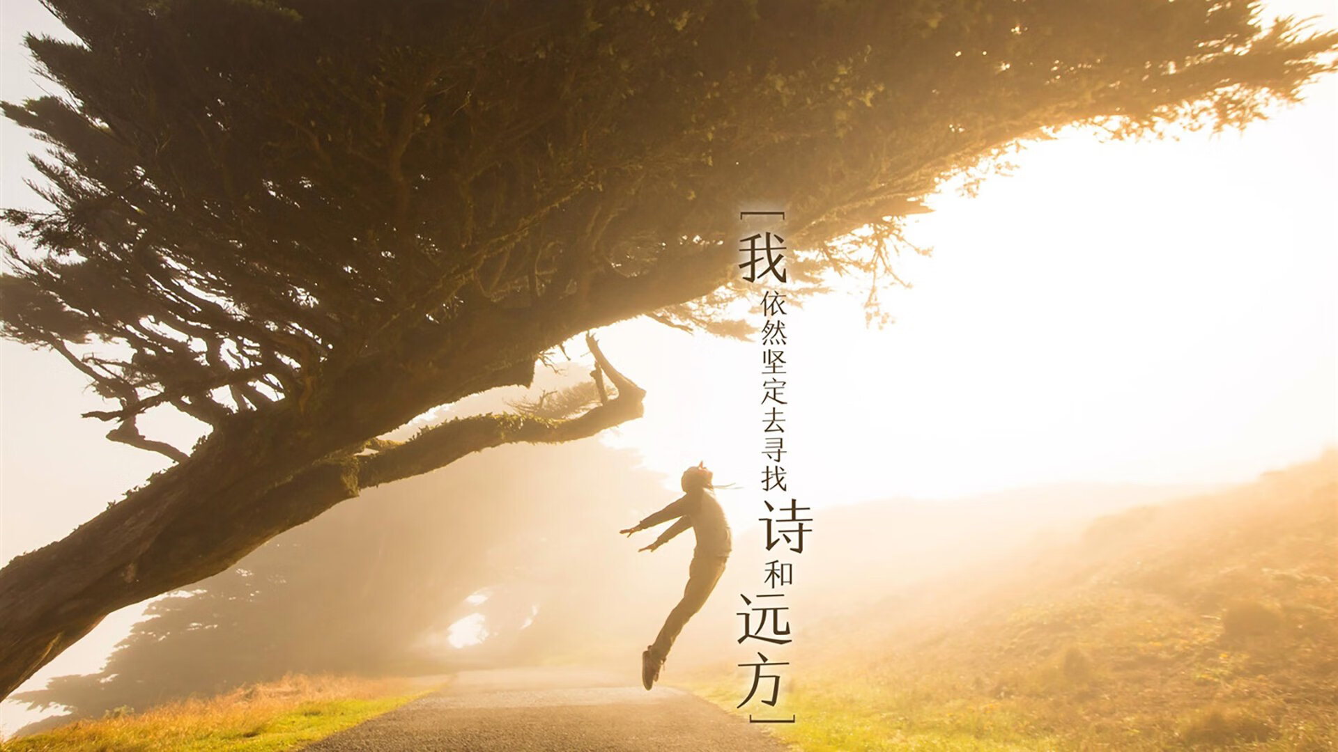 火线涅槃，2026世界杯A组关键战，印度横扫罗马尼亚，努涅斯带队取胜书写新传奇