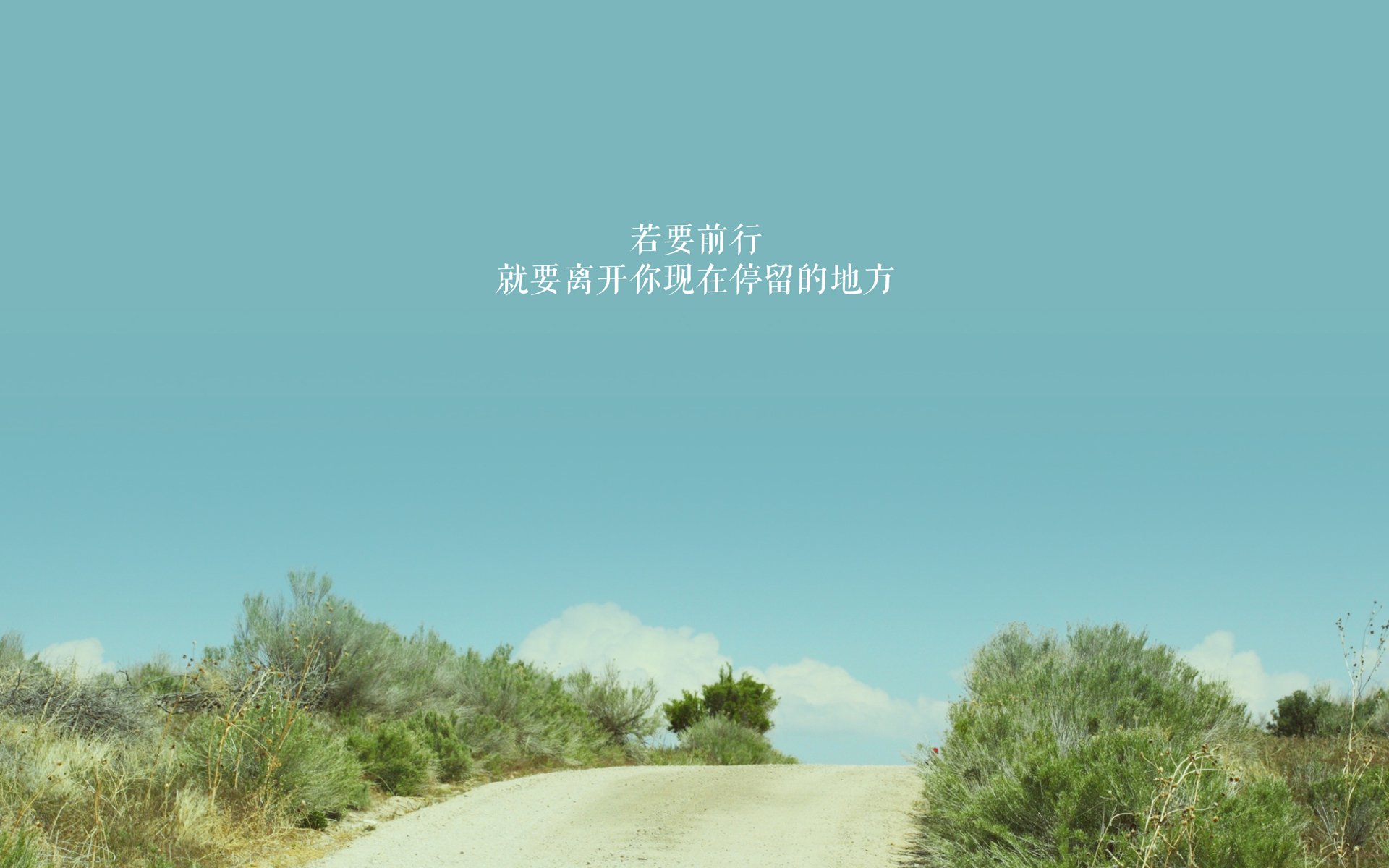 极速风暴,2026世界杯C组最强对决,日本横扫匈牙利,姆巴佩闪耀全场