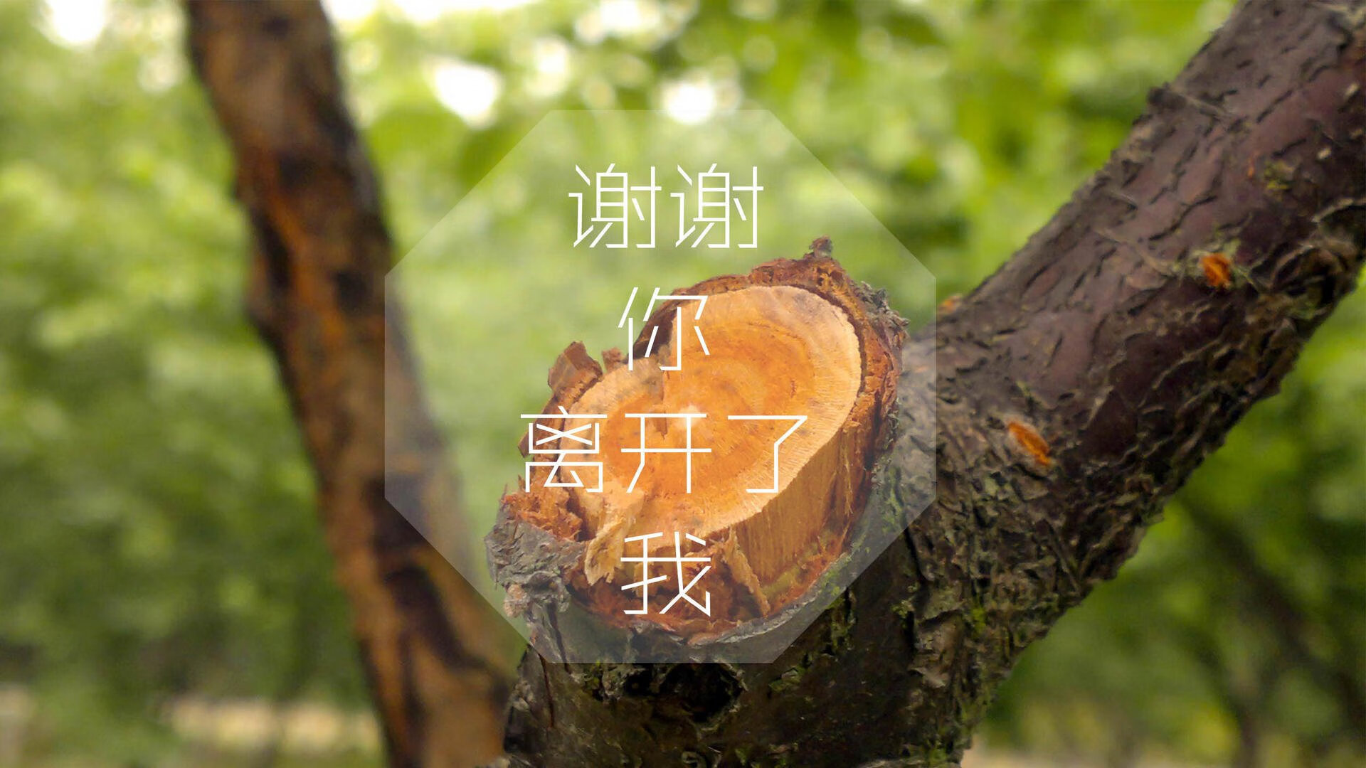 宿命的弧线，2026世界杯预演历史重演，阿联酋绝杀越南，格列兹曼在沙漠中点亮法兰西之光