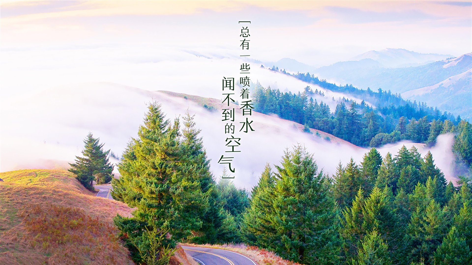 唯一性时刻,2026世界杯H组焦点战,阿诺德用一场美学碾压为美伊对决写下终极注脚